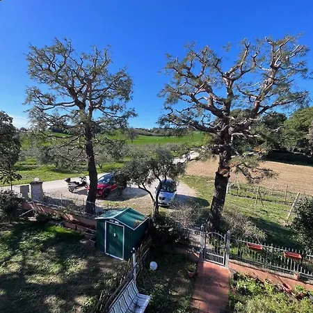 Apartamento Mono Mimosa